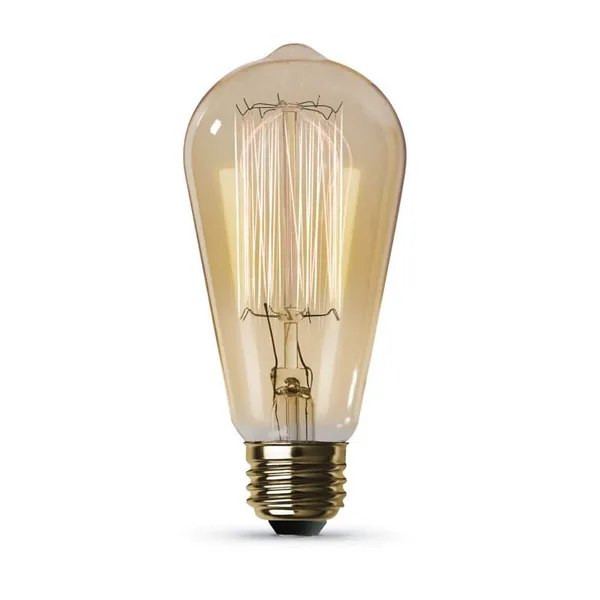 40-Watt ST19 Dimmable Cage Filament Amber Glass E26 Vintage Edison Incandescent Light Bulb, Warm White