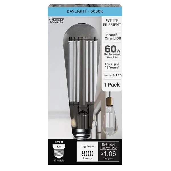60-Watt Equivalent ST19 Dimmable White Filament Clear Glass E26 Vintage Edison LED Light Bulb, Daylight 5000K